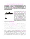 How to protect your Aluminum Patio Umbrellas