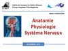Le système nerveux 2010