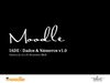 Moodle IADE - Facts & Figures 2010