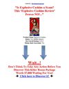 Explosive Cashins Review, Explosive Cashins bonus, Explosive Cashins scam