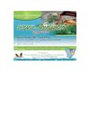 passover travel 2012 PASSOVER PROGRAMS PASSOVER DEALS KOSHER HOLIDAYS KOSHER HOTELS PESACH 5772