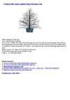 3' Black Fiber Optic Lighted Twig Christmas Tree