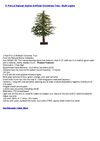 3' Pre-Lit Natural Alpine Artificial Christmas Tree - Multi Lights