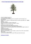 4' Pre-Lit Frosted Alpine Artificial Christmas Tree - Multi Lights