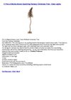 4' Pre-Lit Mocha Brown Sparkling Fantasy Christmas Tree - Clear Lights
