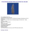5' Pre-Lit Whimsical Champagne Artificial Laser Christmas Tree - Clear Lights