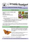 Arroumec n°35