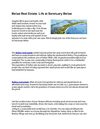 Belize Real Estate: Life at Sanctuary Belize