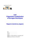 rapport activité 1ère année CAP PROELEC