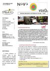 Boletim Informativo de Novembro 2010