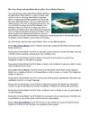 What You Need to Know Before Buying Real Estate Belize Property
