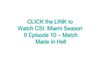 Watch CSI: Miami Season 9 Episode 10 - Match Made in Hell