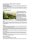 A Luxury Tour to Lijiang - Once in the Life Time