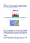 Wales I