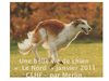 Une belle vie de chien (Le Nord)