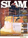 GLOBE SKATE TEAM [SLAM 176]