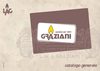 catalogo generale Graziani 2011
