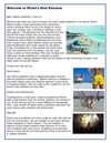 South Beach Hotels & Miami's Best Beaches