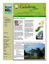 Boletin trimestral enero marzo 2011