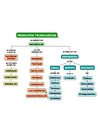 Mapa Conceptual Materiales