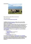 Elefanten Wildnis Tiere Animals SelMcKenzie Selzer-McKenzie