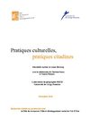 Pratiques culturelles, pratiques citadines : étude de novembre 2010
