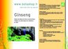 Ginseng Rouge Bio - Régénérant