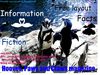 Hooves Paws and Claws magazine issue 5