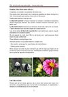 Els animals vertebrats i invertebrats