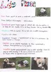 Fitxes d'animals