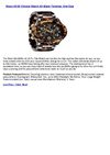 Nixon 42-20 Chrono Watch All Black Tortoise, One Size