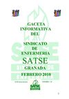GACETA SATSE GRANADA FEBRERO 2010