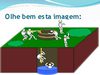 QUAL A SUA POSIÇÃO EM MISSÕES