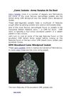 Camo Jackets - The Best Revealed