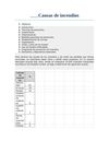 CAUSAS DE INCENDIOS