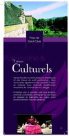 Guide Pratique 2011