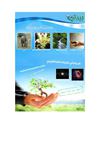 startimes.com