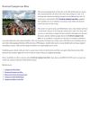 Festival Campervan Hire