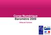 Baromètre numérique 2009 - Rapport Offices de Tourisme