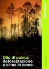 IL CLIMA IN COMA