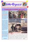 GMr@gazzi 4 novembre 2010