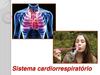 Sistema cardio-respiratório