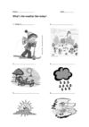 The weather