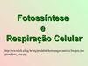 Fotossintese e Respiração Celular