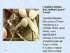 Candida Albicans, the Leading Cause of Cancer