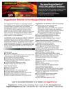 rsg2300_infosheet