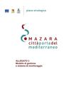 Allegato 2 - Modello di gestione e sistema di monitoraggio