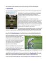 Difference A Well-Designed Water Feature Can Make To your Surroundings - CentralBasin