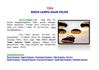 [AyoCariRumah.Com] Tips Bikin Lampu Daun Palem, Making Light Palm Leaves
