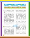 Mi Diario
